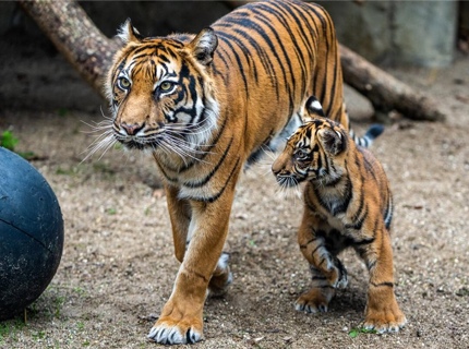 Naturzoo Rheine